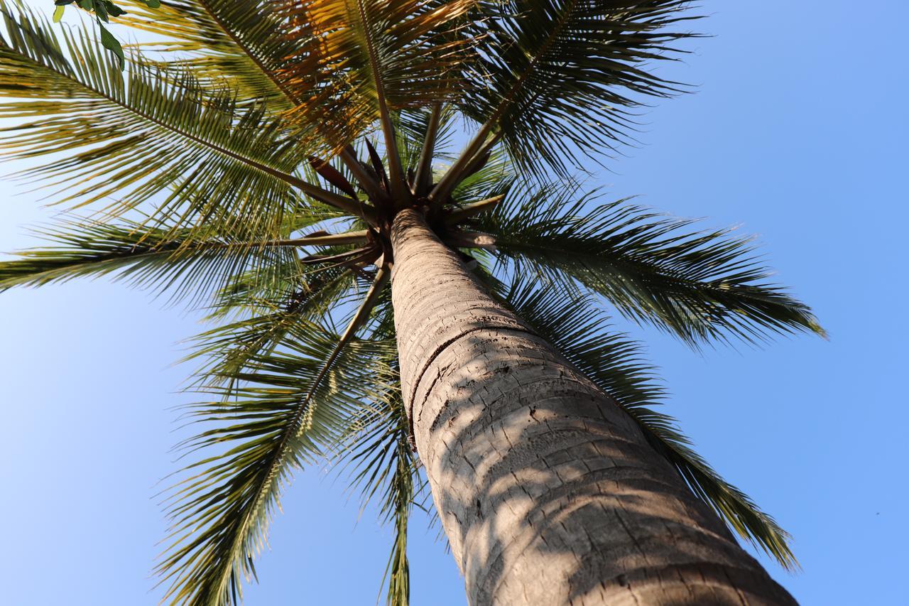 Sun Wind Beach Kalpitiya Kite Resort Exterior foto